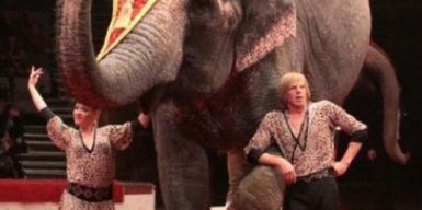 В Днепр приедет цирк, известный издевательствами над животными: видео