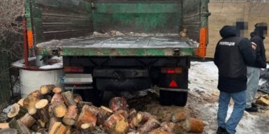 На Дніпропетровщині посадовець лісгоспу-депутат селищної ради вимагав хабар за відпуск деревини