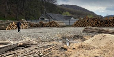 Посадовців лісового господарства Буковини викрили на причетності до контрабанди деревини на 10 млн грн