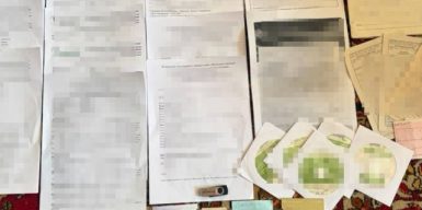 У Кропивницькому викрили схему виїзду за кордон через фіктивну інвалідність за участі медиків та депутатки