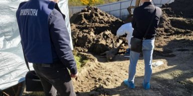 На Буковині депутат приховав спалах африканської чуми на власній фермі