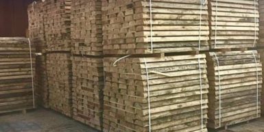 БЕБ викрило схему контрабанди деревини цінних порід на 2 млн грн з підробкою документів