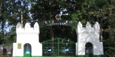 Незаконна вирубка у “Козачанському парку”: заступнику голови громади на Черкащині оголосили підозру