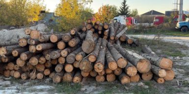 На Прикарпатті посадовці лісгоспу продавали необліковану деревину за півціни