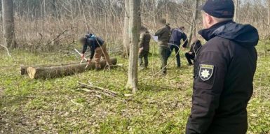 Працівники Гайсинського надлісництва завдали шкоди довкіллю на понад 5,5 млн грн та отримали 3,1 млн грн хабарів
