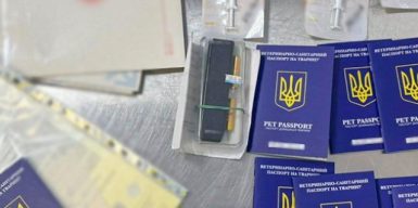 У Києві викрили незаконну масштабну схему “заробітку” у державних ветлікарнях