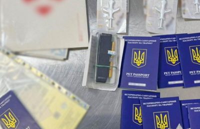 У Києві викрили незаконну масштабну схему “заробітку” у державних ветлікарнях
