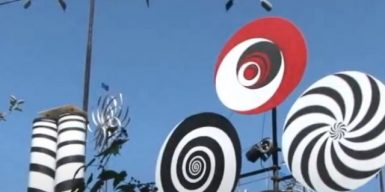 Держит нос по ветру: в Днепре мужчина создал коллекцию из десятков флюгеров (видео)