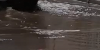 Днепряне почти месяц жили с прорванной канализацией: видео