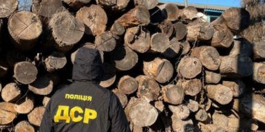 Лес рубят — щепки на продажу: на Днепропетровщине раскрыли схему незаконной вырубки (видео)