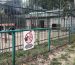 На Полтавщині повідомили про підозру ветеринару через травмування 5-річного хлопчика левицею