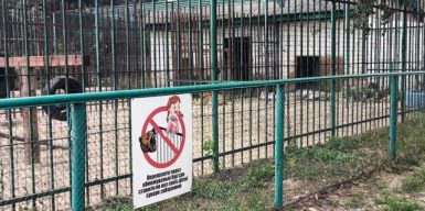 На Полтавщині повідомили про підозру ветеринару через травмування 5-річного хлопчика левицею