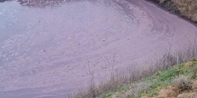 Директор виноробного заводу на Одещині забруднив землі стічними водами та відходами виробництва