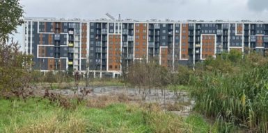 На Вінниччині директор підприємства завдав на 8 млн грн шкоди довкіллю, забруднивши 3000 м² земель стоками