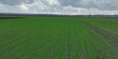 На Дніпропетровщині запобігли незаконному вилученню 1500 га землі державного аграрного університету