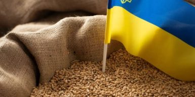 В Одесі судитимуть фіктивного керівника підприємства, що експортувала зерно в ОАЕ та Британію