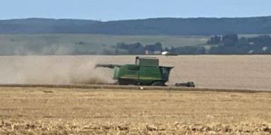 Зернова афера: керівника держпідприємства НААН викрили на продажі врожаю зі збитками на 13 мільйонів