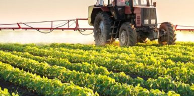 В Україні аграрне виробництво знизиться на 10% порівняно з минулим роком