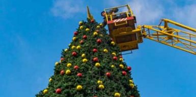 В Днепре нарядили первую новогоднюю елку