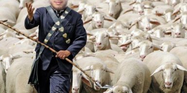 Из депутатов в пастухи: сын Загида Краснова получил землю чтобы пасти овец?