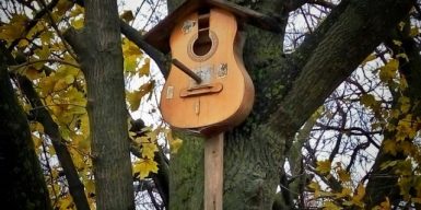 В Днепре из старых гитар будут делать дизайнерские скворечники