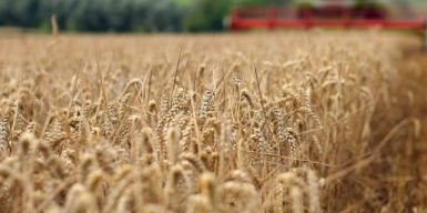 Українські хлібороби зібрали вже 3,6 млн тонн зерна нового врожаю
