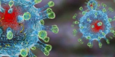 В Украине выявили еще двух больных коронавирусом