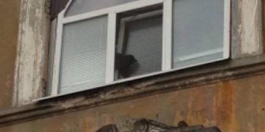 Днепровским спасателям пришлось вызволять кота из пластикового окна