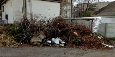 Полоса препятствий: на Западном 3 месяца не вывозят мусор (фото)