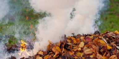 Дніпрянам нагадали про відповідальність за спалювання сухого листя та сміття