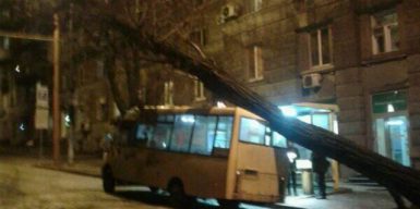 В центре Днепра дерево чуть не раздавило 101 маршрутку: фото