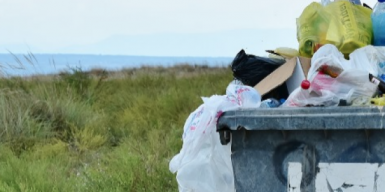 Днепропетровщину признали самым «мусорным» регионом Украины
