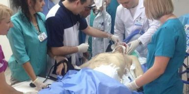В больнице Мечникова спасают тяжело раненого бойца из зоны ООС