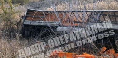 На Днепропетровщине фура с курицами попала в аварию: фото, видео