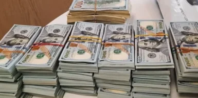 Під час обшуку у справі ексголови Верховного суду Князєва додатково вилучили майже пів мільйона доларів: подробиці.