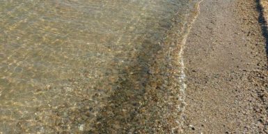 В Кирилловке и на других курортах Азовского моря отрицают аномальное нашествие медуз