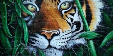 В Днепре подъезд украсили тиграми: фото