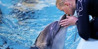 Кирилловка: дельфинарий «Оскар» встретит посетителей с обновленной программой