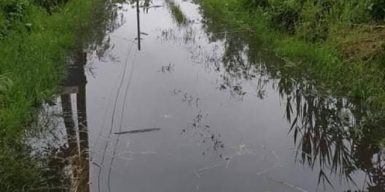 В Днепре из-за дождя река вышла из берегов: фото, видео