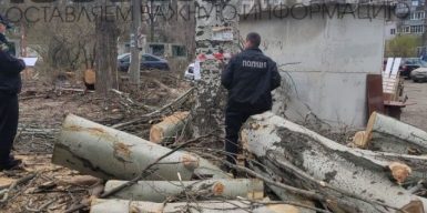 В Днепре близкие к депутату от «Слуги народа» бизнесмены лишили жильцов общежития двора и деревьев: фото
