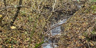 Посадовиці молокозаводу на Хмельниччині оголосили підозру за забруднення річки: збитки на понад 14,8 млн грн