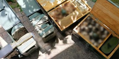 На Дніпропетровщині військовослужбовця викрили на збуті гранатометів, гранат і патронів