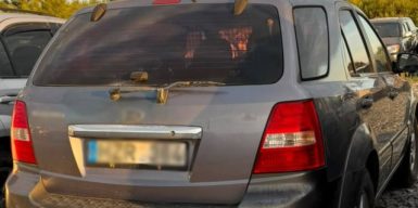 На Львівщині чоловік ввіз 17 автомобілів під виглядом благодійної допомоги, а потім продавав в інтернеті