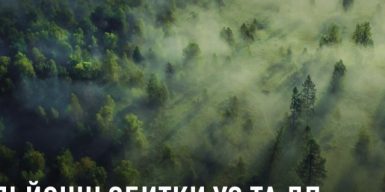 Розкрадання 26,8 млн грн Укрзалізниці та «Лісів України»: НАБУ та САП викрили «тіньовий офіс», під підозрою 10 осіб