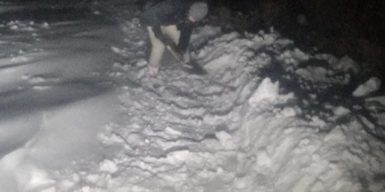 Приют для животных под Днепром оказался в снежном плену: фото