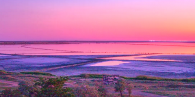 Розовое озеро онлайн: в одном из популярнейших мест Херсонщины установили веб-камеру