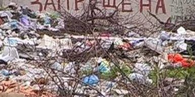Горожане просят очистить от мусора жилмассив  Парус