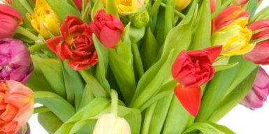 Горсовет Днепра к 8 Марта покупает цветы и вазы