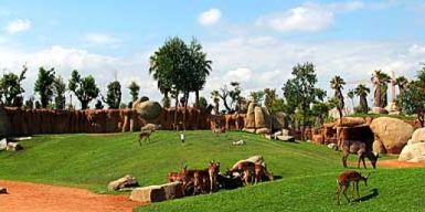 Ломать – не строить: как город-миллионник оставили без зоопарка