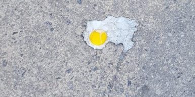 Днепряне зажарили яйца на асфальте: фото